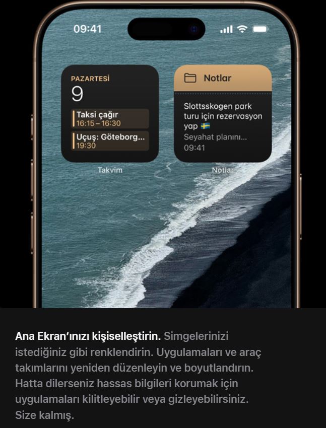 Text